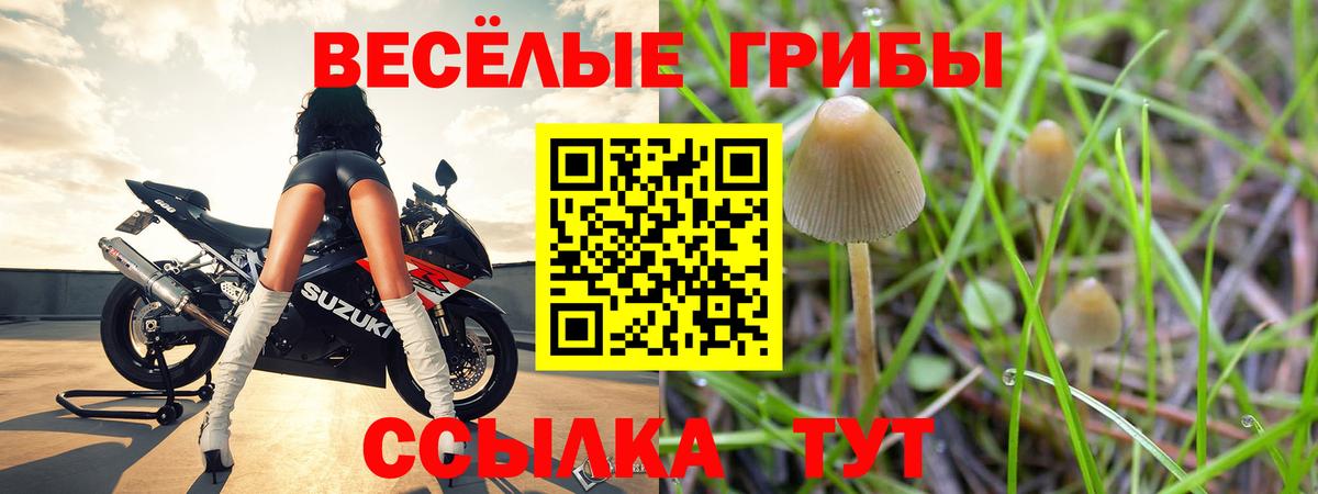 Псилоцибиновые грибы MAGIC MUSHROOMS  Вход с VPN  Егорьевск 